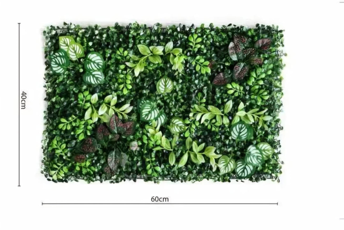 Set 6 x panouri decorative, 40 x 60 cm, LEAVES