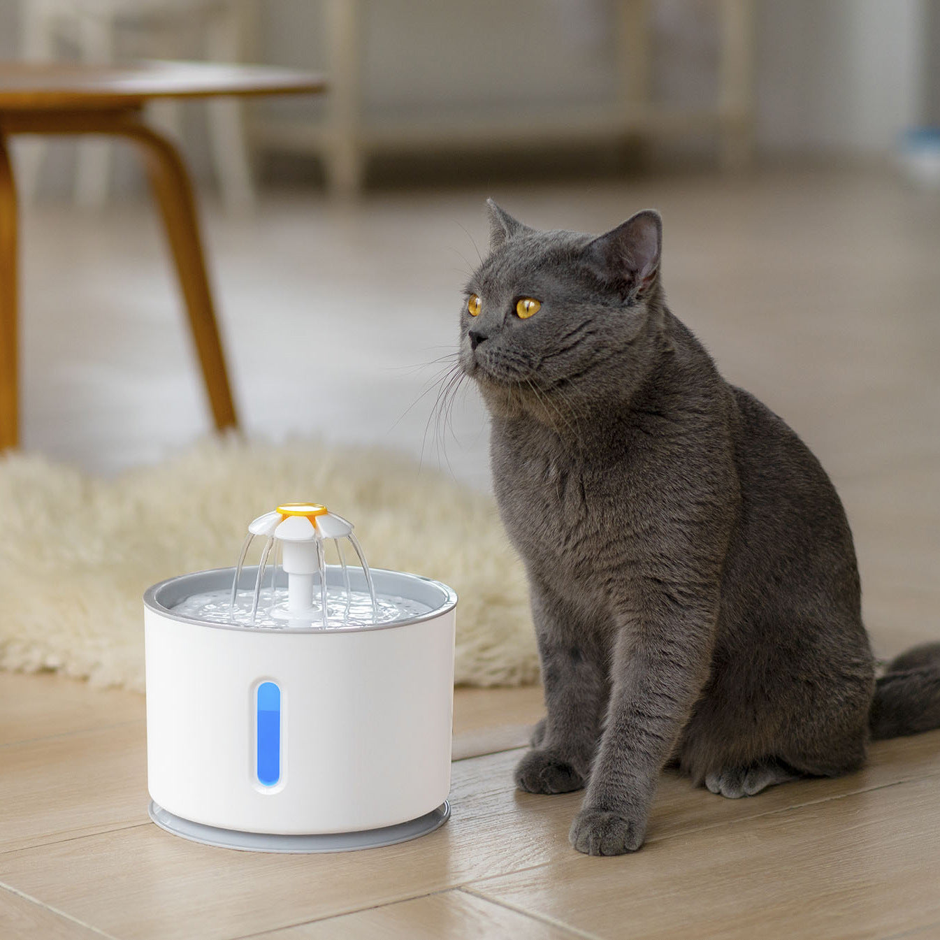 Fantana cu apa pentru animale, iluminare si functie de filtrare-purificare a apei, 2.4L
