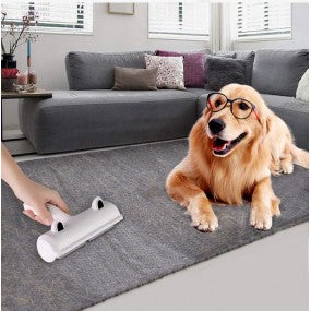 Perie pentru indepartarea parului de animale ROLLY