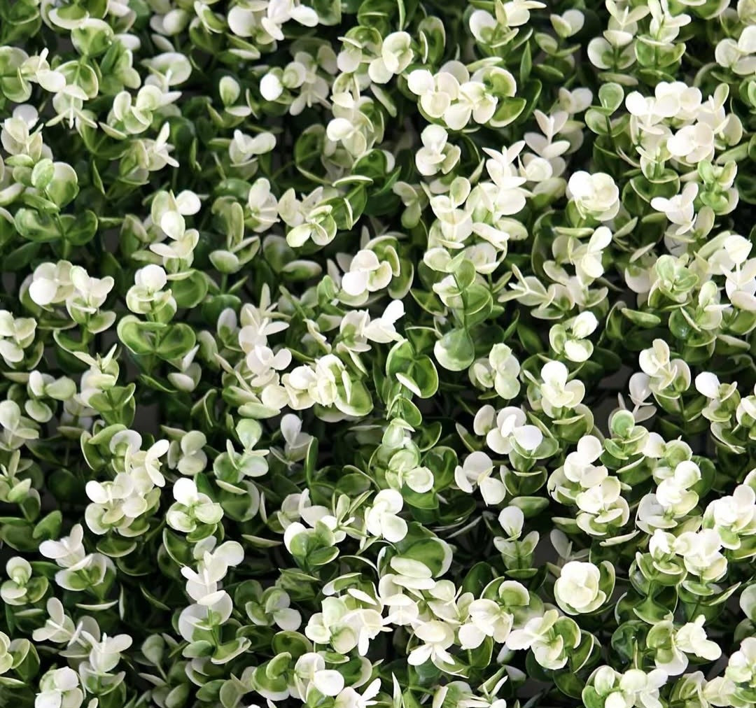 Set 6 x panouri decorative Green White , 40 x 60 cm/ buc