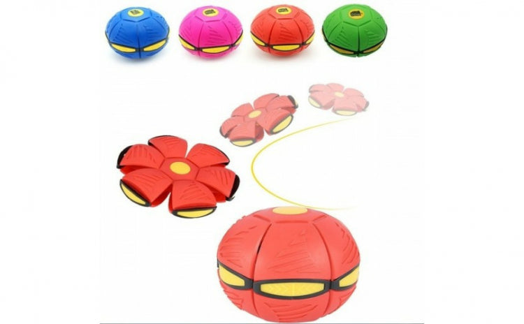 Minge disc POP IT