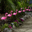 Set 3 x Lampa solara Flamingo New