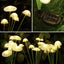 Set 2 x lampa solara 6 LED Jellyfish, Alb cald