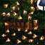 Set 2 x Instalatie solara cu 30 albinute LED, alb cald
