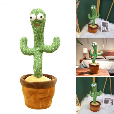 Cactus dansator si vorbitor