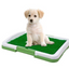 Toaleta cu iarba artificiala pentru animale, Puppy Potty Pad