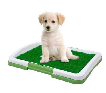 Toaleta cu iarba artificiala pentru animale, Puppy Potty Pad