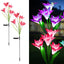 Set 2 Lampi Solare Crini Decorative, 70cm,LED cu Senzor Lumina