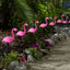Set 3 x Lampa solara, Flamingo - lumineaza 8 ore
