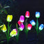 Set 2 x Lampi Solare Lalele Decorative, 70cm, IP66, LED