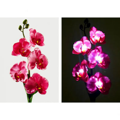Set 2 x Lampi Solare Orhidee LED