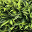 Set 6 x Panou verde din plante artificiale, 40 x 60 cm/ buc