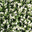 Set 6 x panouri decorative Green White , 40 x 60 cm/ buc